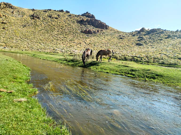 دریاچه نئور در بهار