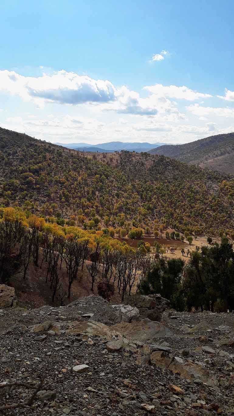 روستای نژو