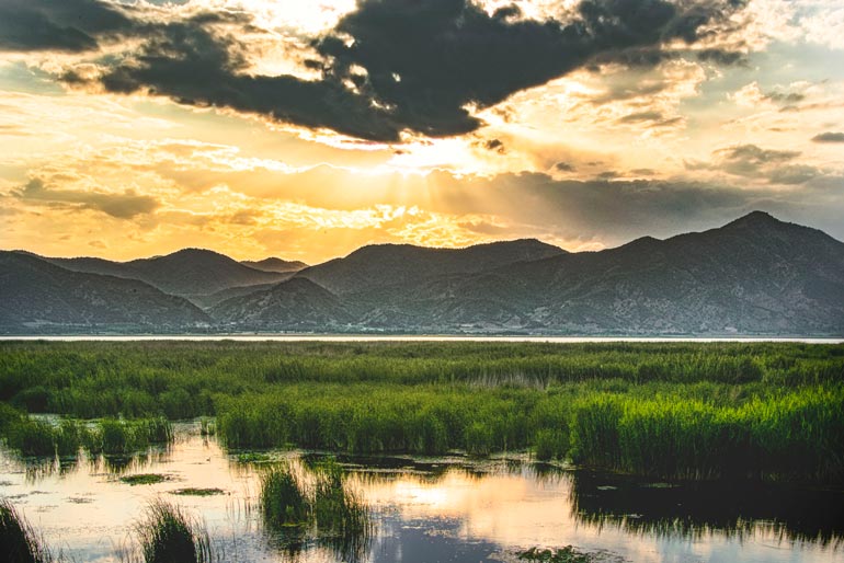 پارک ساحلی زریوار کردستان