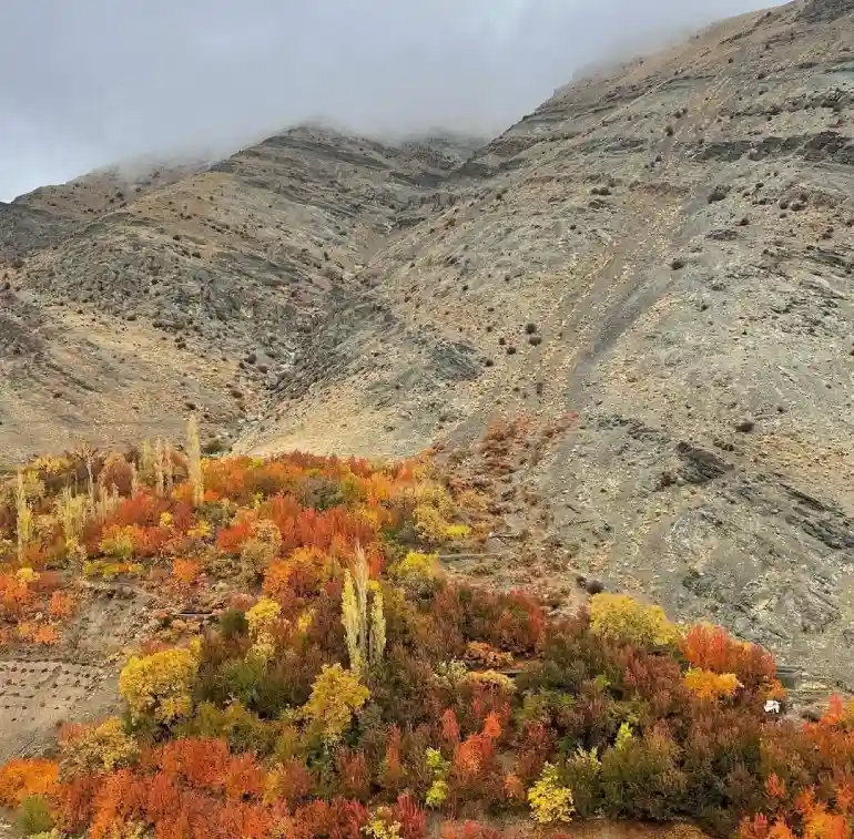 دیدنی های روستای وردیج