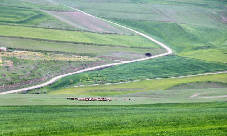 تاریخ دشت مغان