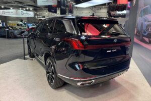 mg qs