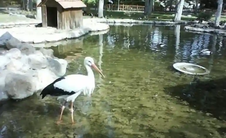 باغ پرنده شیراز